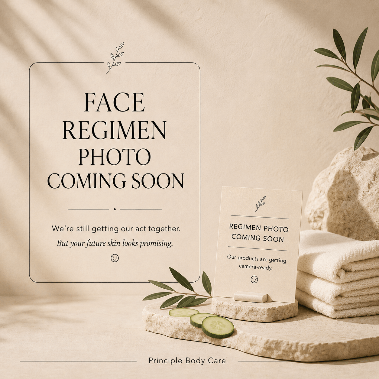 Clarifying Face Regimen - P R I N C I P L E