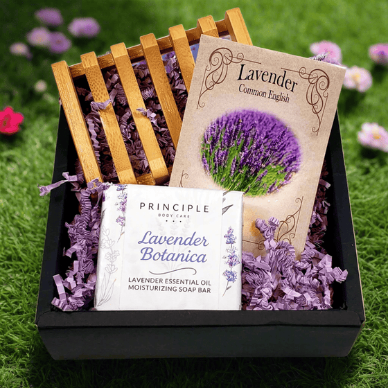 Lavender Botanica Garden Gift Set - P R I N C I P L E