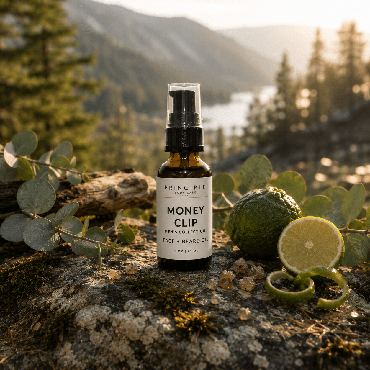 Money Clip Beard + Face Oil - P R I N C I P L E